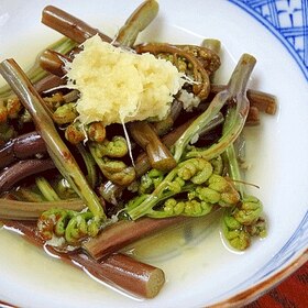 裏ワザ使えば意外と簡単 春の味覚 わらび の下処理をマスター デイリシャス 楽天レシピ 裏ワザ使えば意外と簡単 春の味覚 わらび の下処理をマスター デイリシャス 楽天レシピ